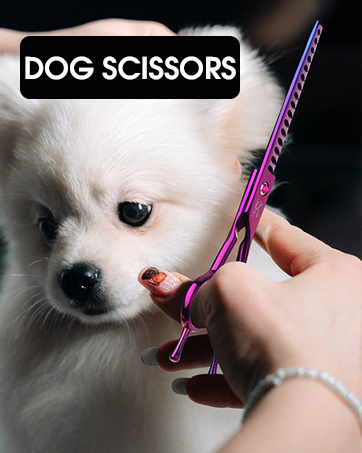 dog scissors
