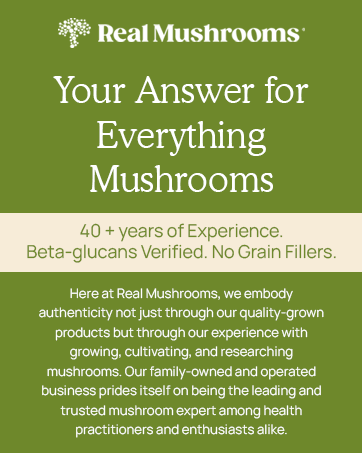 Real Mushroom