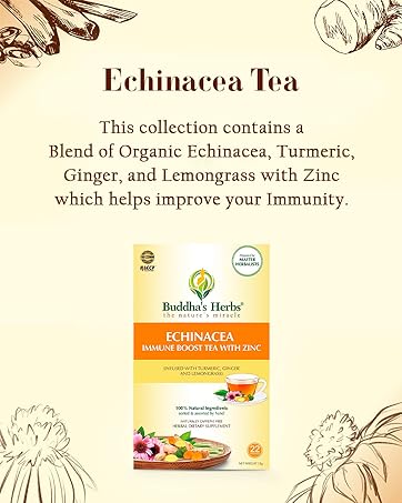 Buddha's Herbs Echinacea Tea Turmeric Ginger Lemongrass Zinc