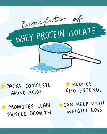 whey protein isolate benefits amino acids cholesterol muscle growth