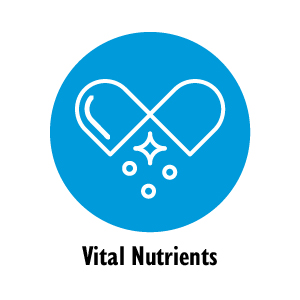Celebrate bariatric vitamins vital nutrients blue icon