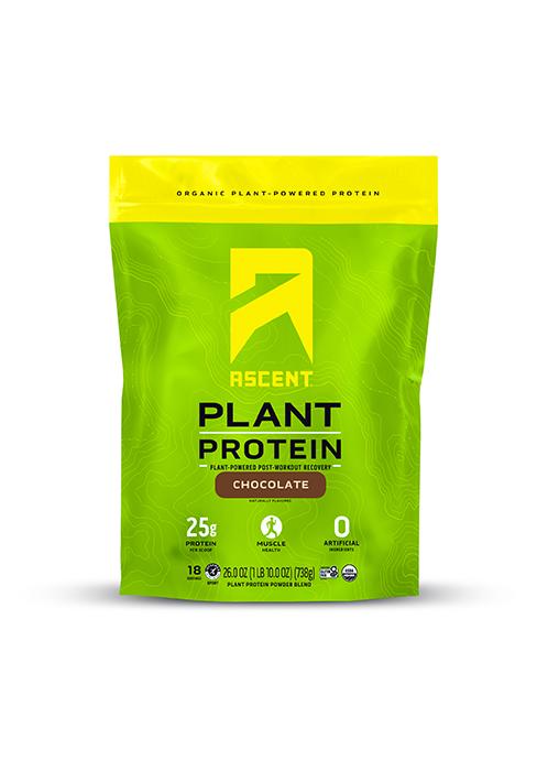 plant based protein powder